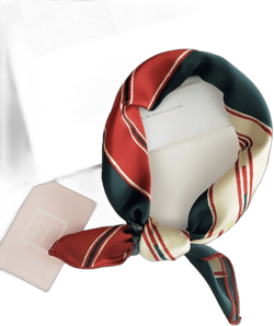 Square Scarf Hair Tie Band For Business Party Women Elegant Small Vintage Skinny Retro Head Neck Silk Satin Scarf(10)