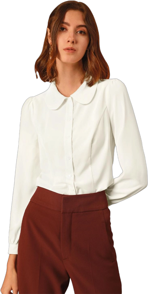 Allegra K Women's Peter Pan Collar Bow Tie Neck Puff long Sleeve Workwear Button Blouses White X-Small