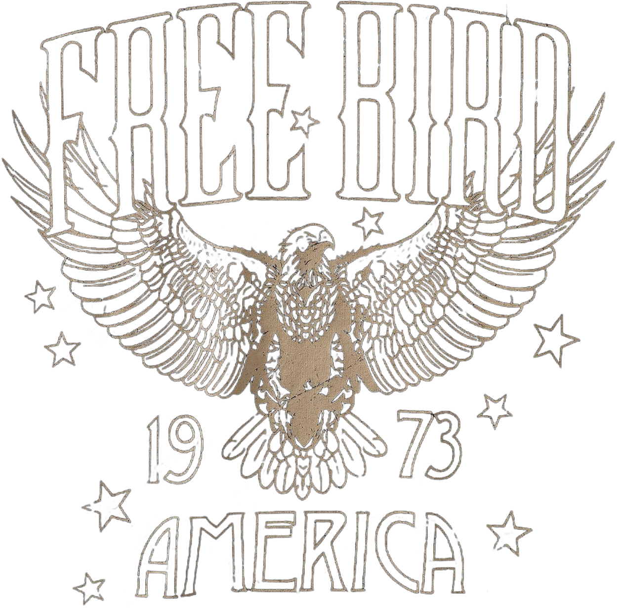 Vintage Rock Band T-Shirts for Women Retro Free Bird Eagle Graphic Country Music Tees Casual Loose Short Sleeve Tops Large Charcoal Black-55
