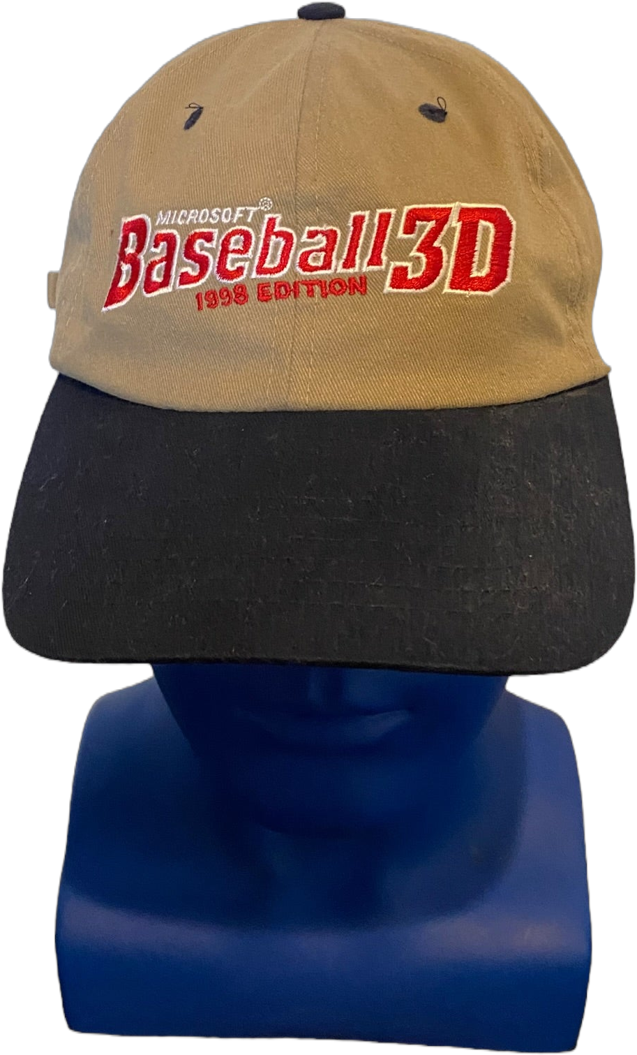 Vintage Rare Microsoft Baseball 3d 1998 Edition Script Adjustable Strap Hat