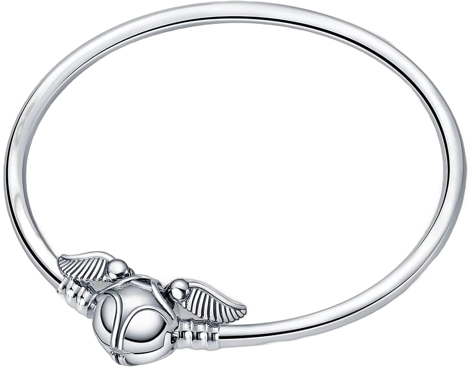 LIGHTDOG Charm Bracelet for Pandora Charms 925 Sterling Silver Snake Chain Bracelet Fit Any Charm Gift for Women 19.0 Centimeters HALI Eagle Charm Bracelets